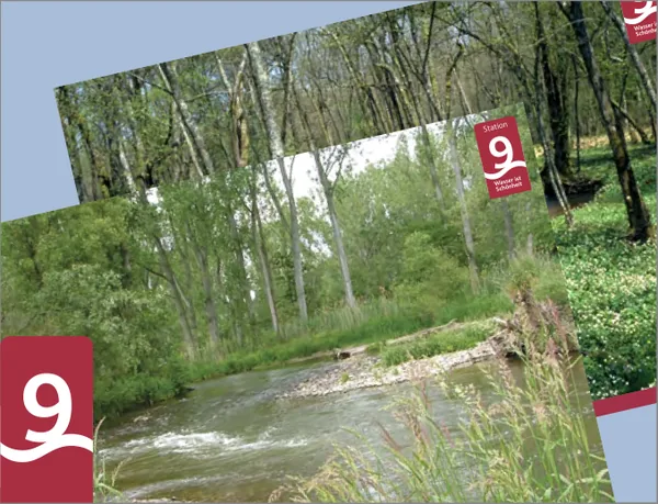 Ein Fluss mit grünem Ufer und Bäumen